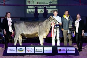 k-3Vizechampion
